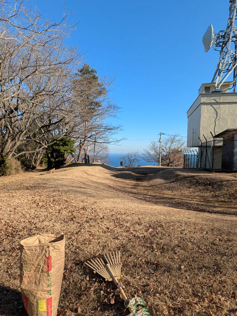 丘の上から海を望む風景